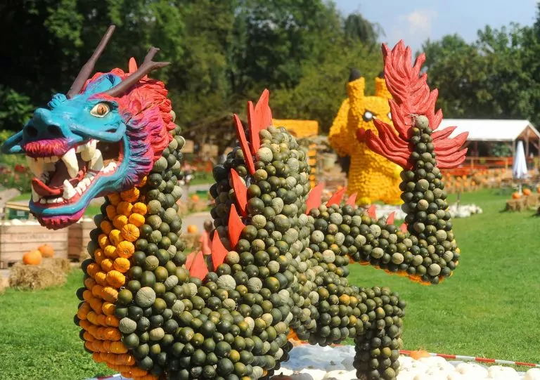 Asiatischer Drache als Kürbisfigur bei der Kürbisschau auf dem Krewelshof.