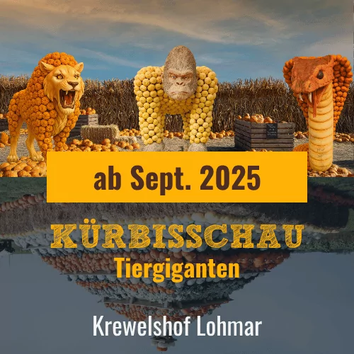 Kürbisschau Krewelshof Lohmar bei Köln Tiergiganten 2025