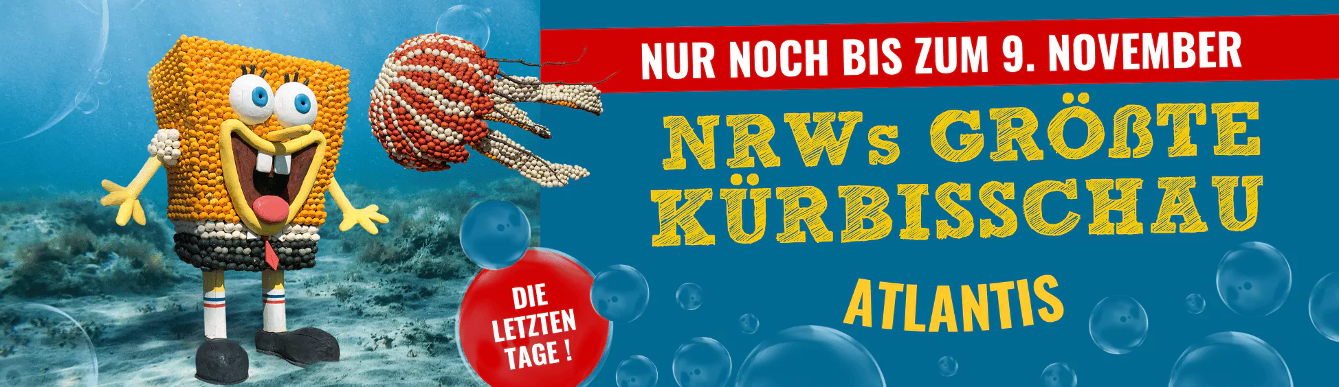 NRWs größte Kürbisschau Atlantis Krewelshof Mechernich Eifel 2025 Letzte Tage 9.11