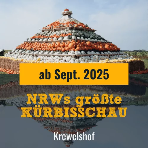 NRWs größte Kürbisschau Krewelshof Eifel Herbst 2025