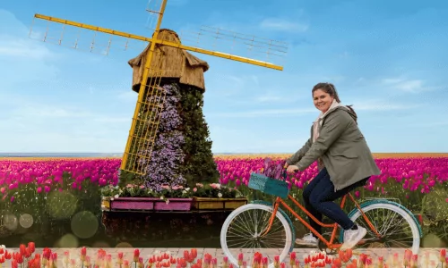 Tulpenschau Beispielbild